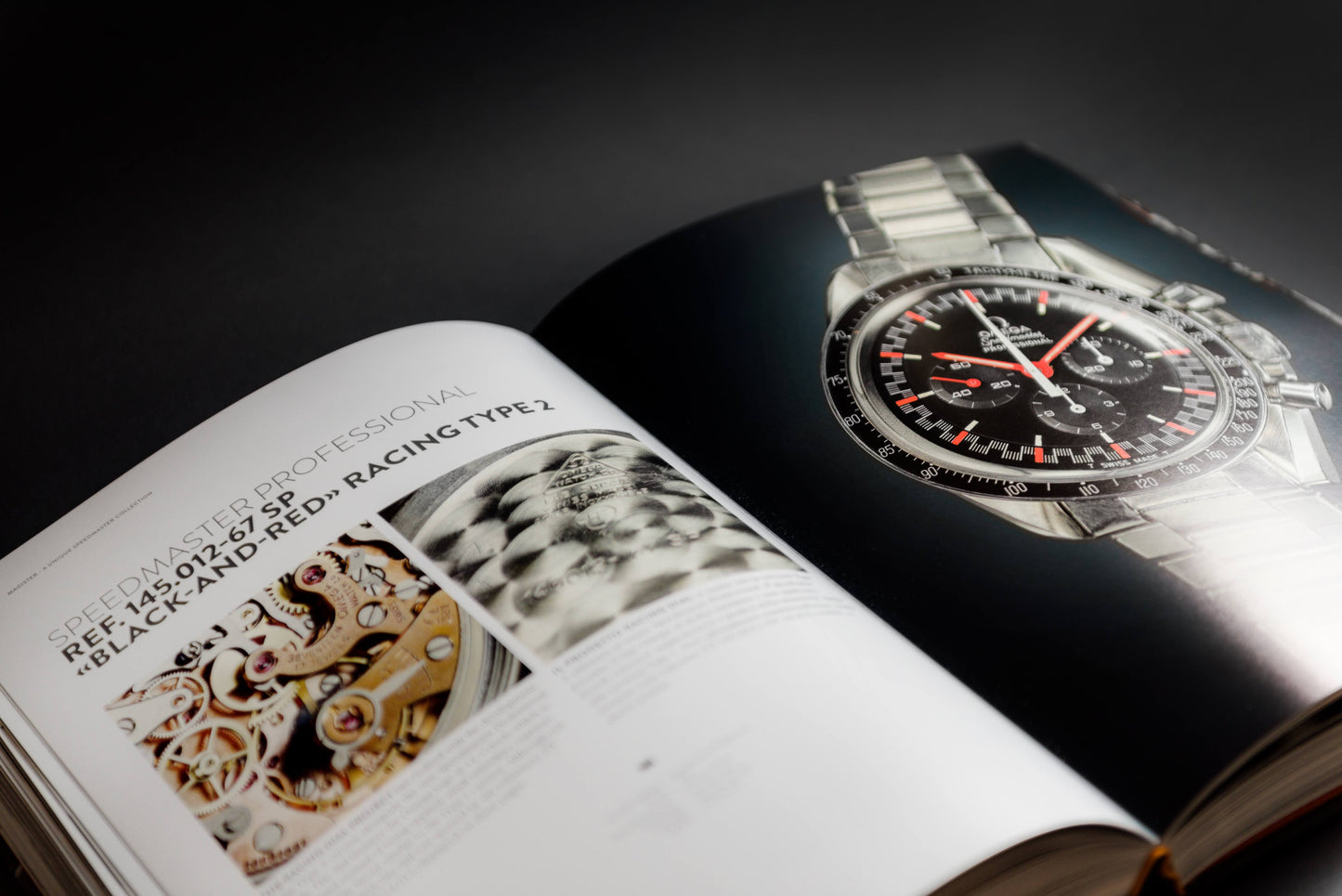 MAGISTER - Selezione Speedmaster di Andrea Foffi